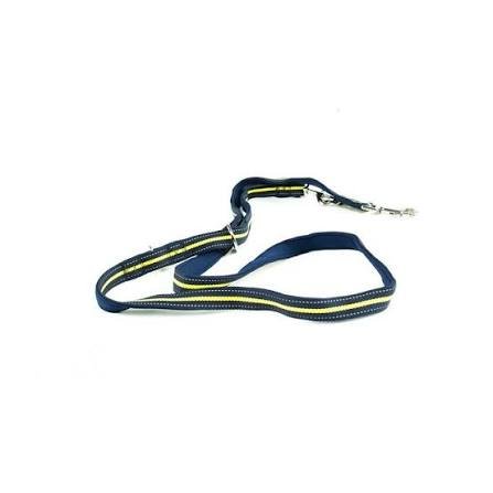 BMW Active Dog Lead / Dog Leash